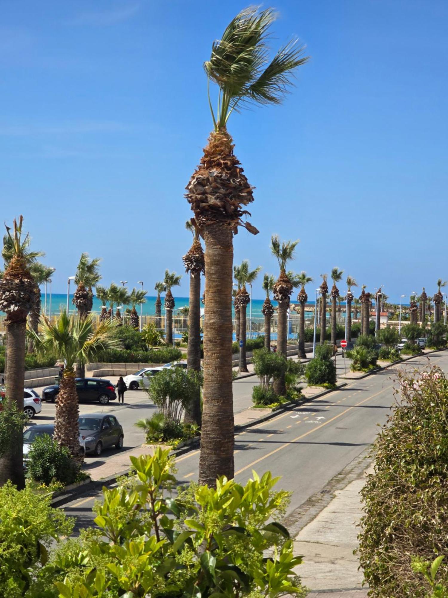 Terranova Vista Mare *